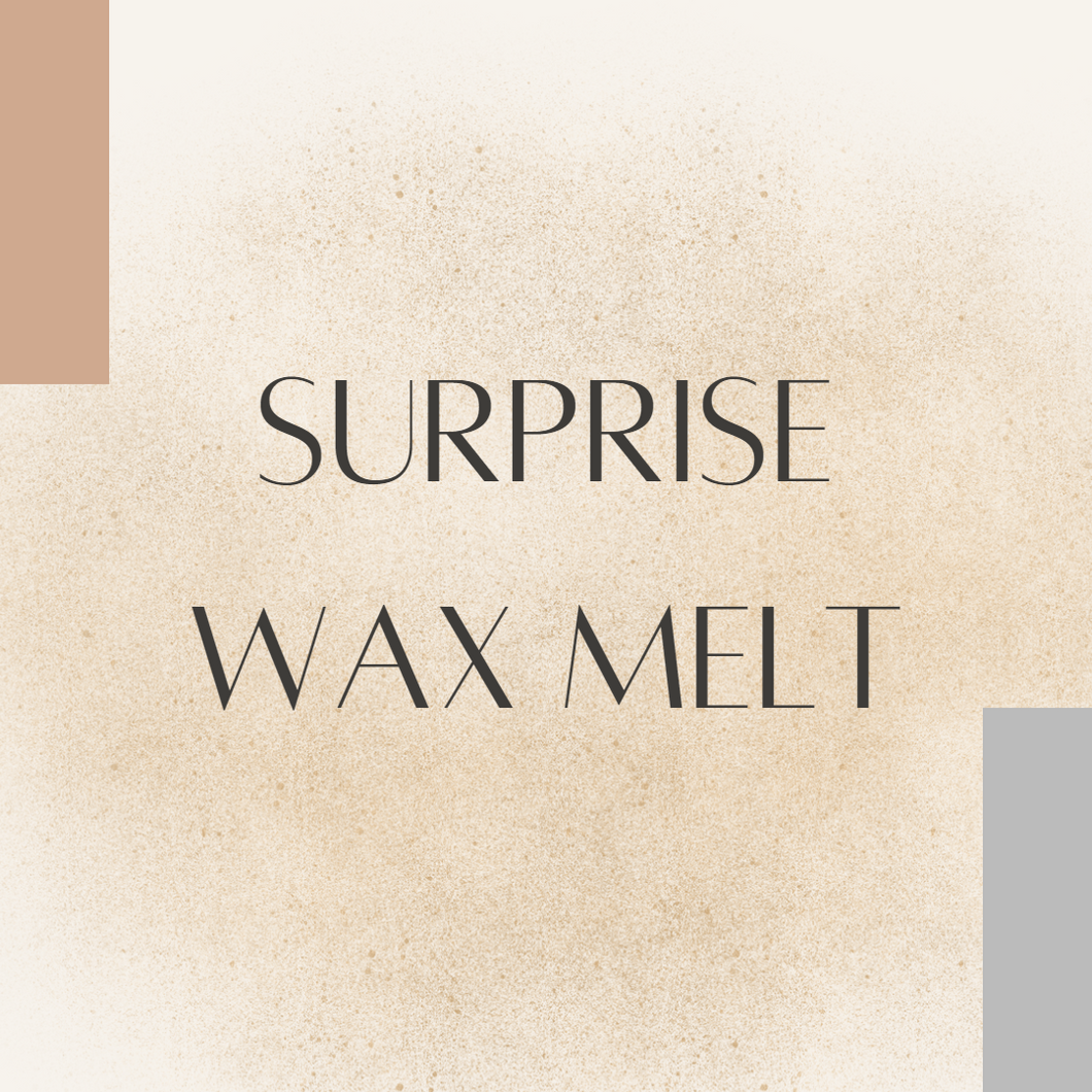 Surprise Me Non-Toxic Wax Melt - Fate Beauty 