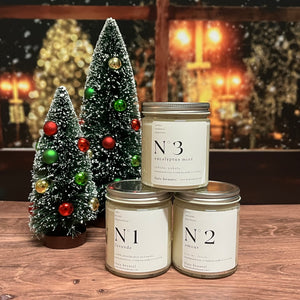 Earthy Essentials Bundle (3 Non-Toxic Soy Candles) - Fate Beauty 