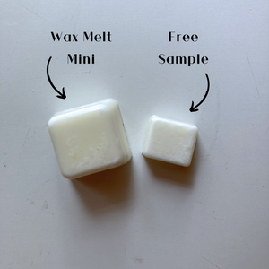 Wax Melt Mini Sample Pack (10 Scents!) - Fate Beauty 